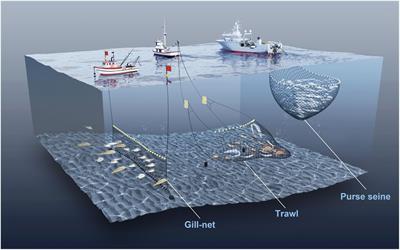 Fine spatio-temporal prediction of fishing time using big data